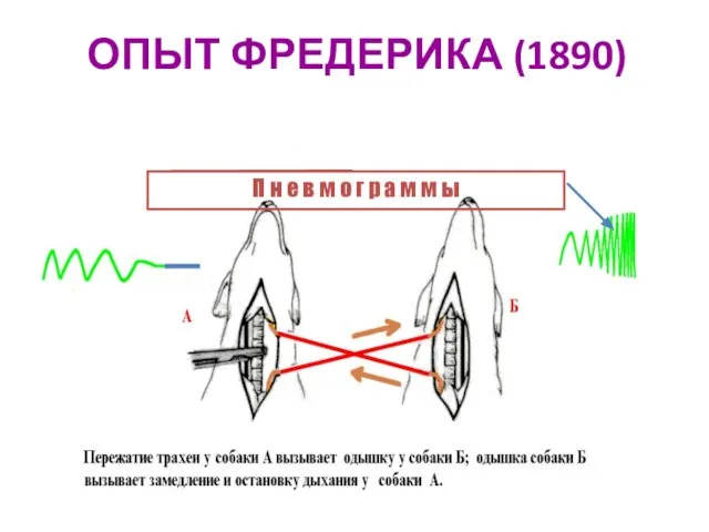 ОПЫТ ФРЕДЕРИКА (1890) П н е в м о г р а м м ы