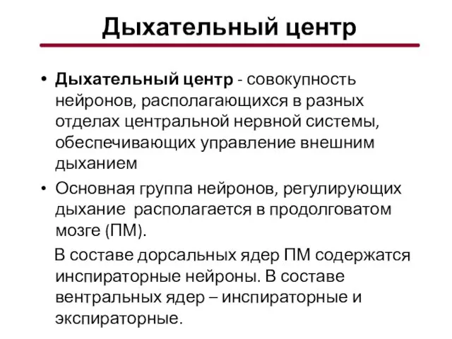 Дыхательный центр Дыхательный центр - совокупность нейронов, располагающихся в разных отделах