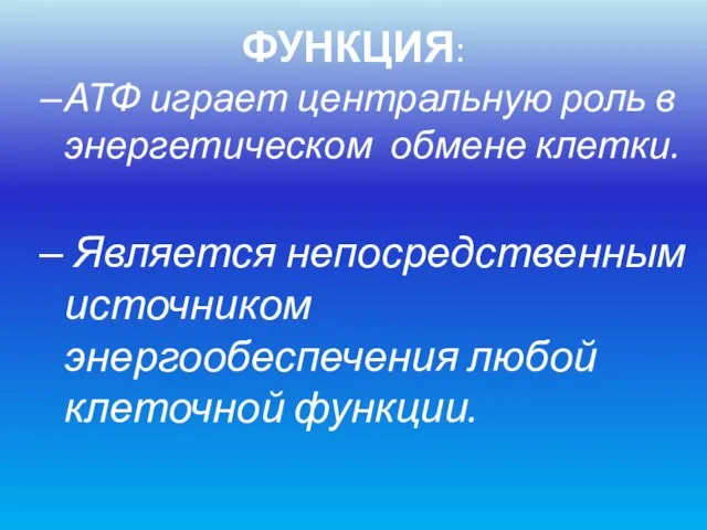 ФУНКЦИЯ: АТФ играет центральную роль в энергетическом обмене клетки. Является непосредственным источником энергообеспечения любой клеточной функции.