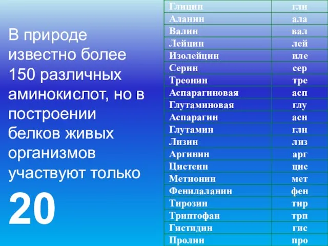 В природе известно более 150 различных аминокислот, но в построении белков живых организмов участвуют только 20