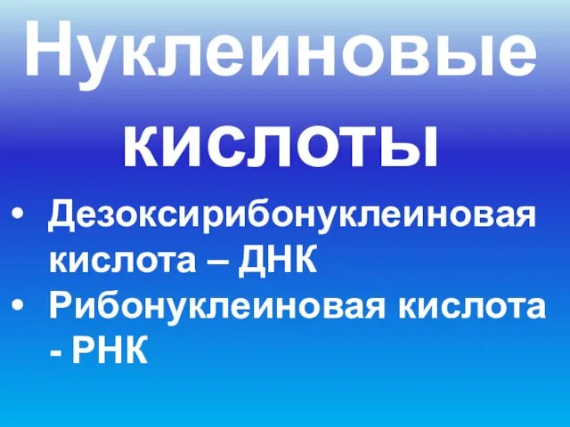 Нуклеиновые кислоты Дезоксирибонуклеиновая кислота – ДНК Рибонуклеиновая кислота - РНК