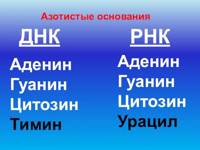 Аденин Гуанин ЦитозинТимин Аденин Гуанин Цитозин Урацил ДНК РНК Азотистые основания