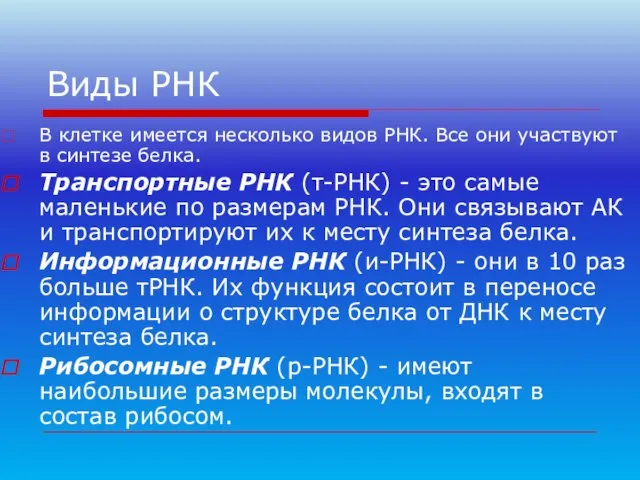 Виды РНК В клетке имеется несколько видов РНК. Все они участвуют