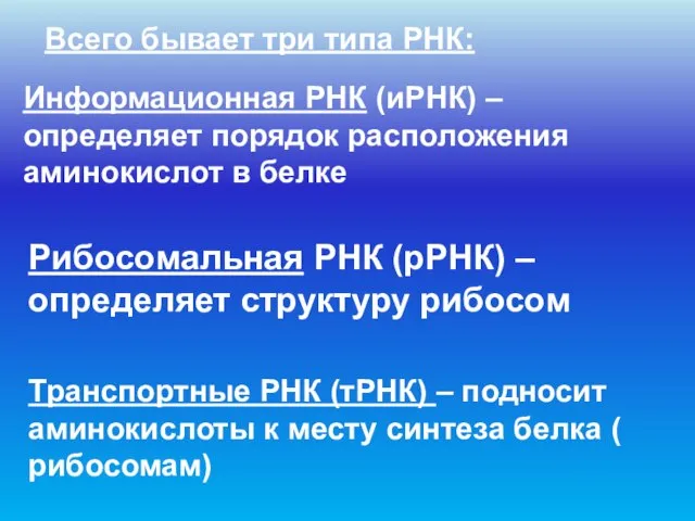 Всего бывает три типа РНК: Информационная РНК (иРНК) – определяет порядок