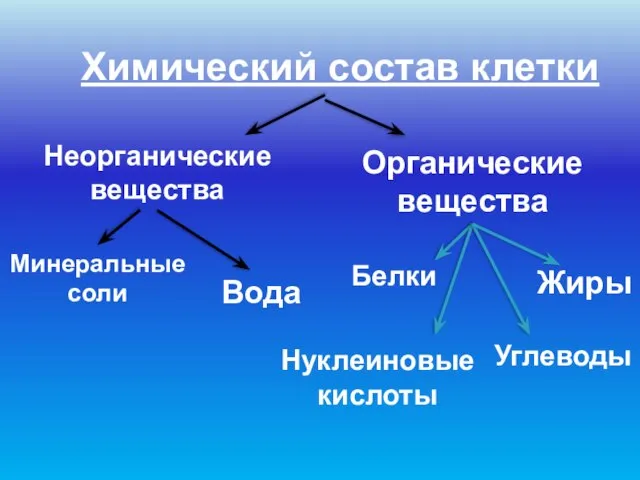 Химический состав клетки Неорганические вещества Органические вещества Минеральные соли Вода Белки Жиры Углеводы Нуклеиновые кислоты