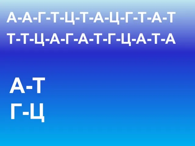 А-А-Г-Т-Ц-Т-А-Ц-Г-Т-А-Т Т-Т-Ц-А-Г-А-Т-Г-Ц-А-Т-А А-Т Г-Ц