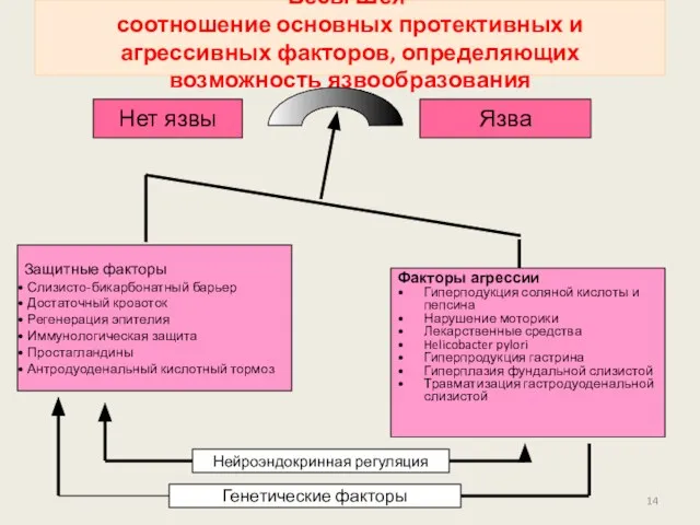 Весы Шея- соотношение основных протективных и агрессивных факторов, определяющих возможность язвообразования