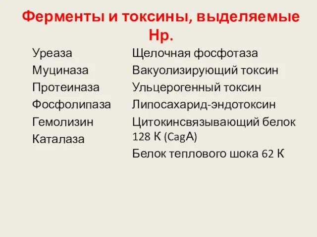 Ферменты и токсины, выделяемые Нр. Уреаза Муциназа Протеиназа Фосфолипаза Гемолизин Каталаза