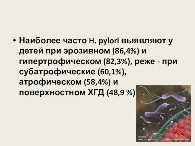 Наиболее часто H. pylori выявляют у детей при эрозивном (86,4%) и