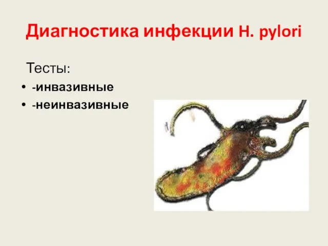 Диагностика инфекции H. pylori Тесты: -инвазивные -неинвазивные