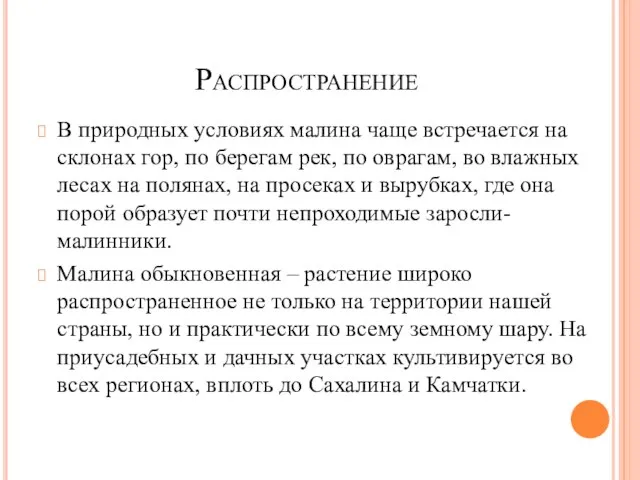 Распространение В природных условиях малина чаще встречается на склонах гор, по