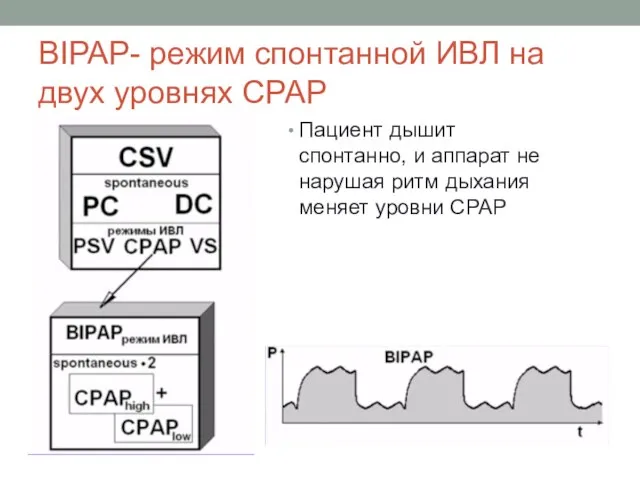 BIPAP- режим спонтанной ИВЛ на двух уровнях СРАР Пациент дышит спонтанно,