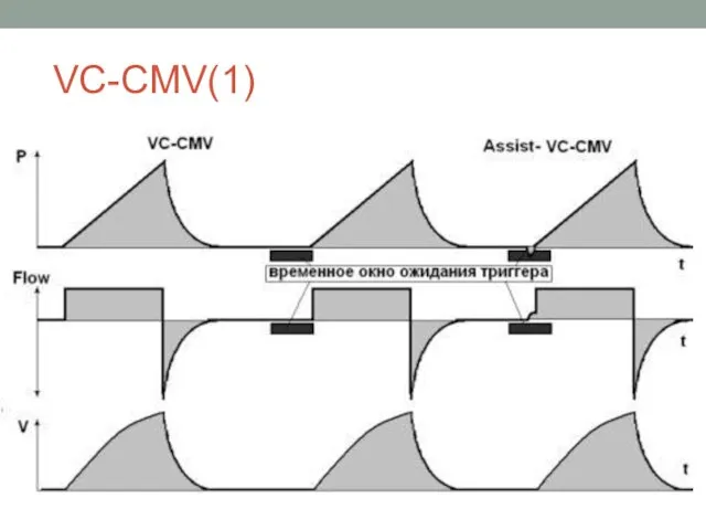 VC-CMV(1)