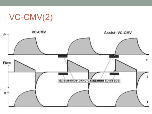 VC-CMV(2)