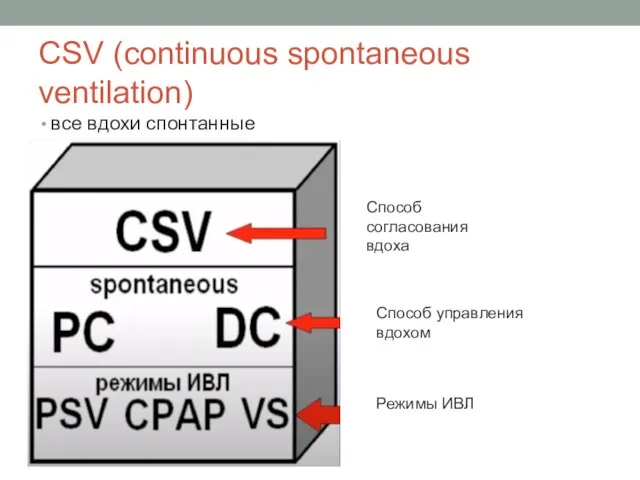 CSV (continuous spontaneous ventilation) все вдохи спонтанные Способ согласования вдоха Способ управления вдохом Режимы ИВЛ