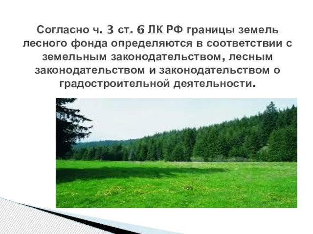 Согласно ч. 3 ст. 6 ЛК РФ границы земель лесного фонда
