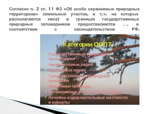 Согласно п. 2 ст. 11 ФЗ «Об особо охраняемых природных территориях»