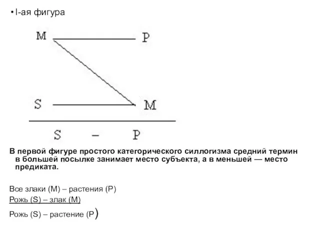 I-ая фигура В первой фигуре простого категорического силлогизма средний термин в