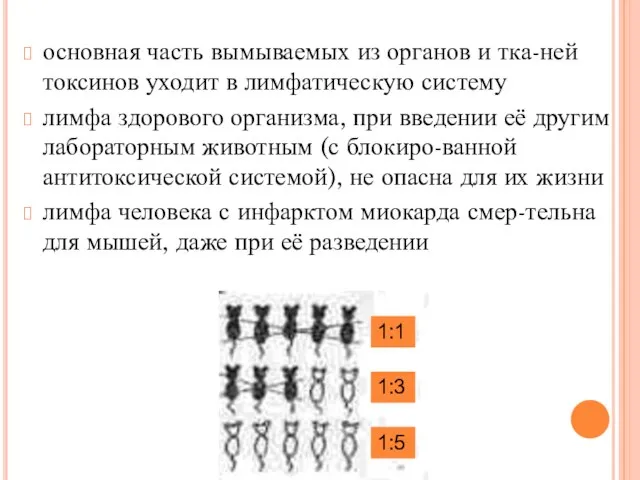 основная часть вымываемых из органов и тка-ней токсинов уходит в лимфатическую