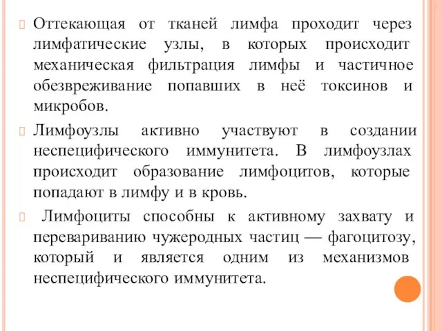 Оттекающая от тканей лимфа проходит через лимфатические узлы, в которых происходит