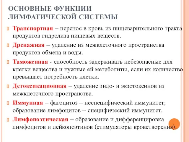 ОСНОВНЫЕ ФУНКЦИИ ЛИМФАТИЧЕСКОЙ СИСТЕМЫ Транспортная – перенос в кровь из пищеварительного