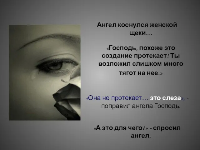 Ангел коснулся женской щеки… «Господь, похоже это создание протекает! Ты возложил