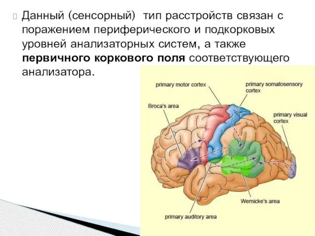 Данный (сенсорный) тип расстройств связан с поражением периферического и подкорковых уровней