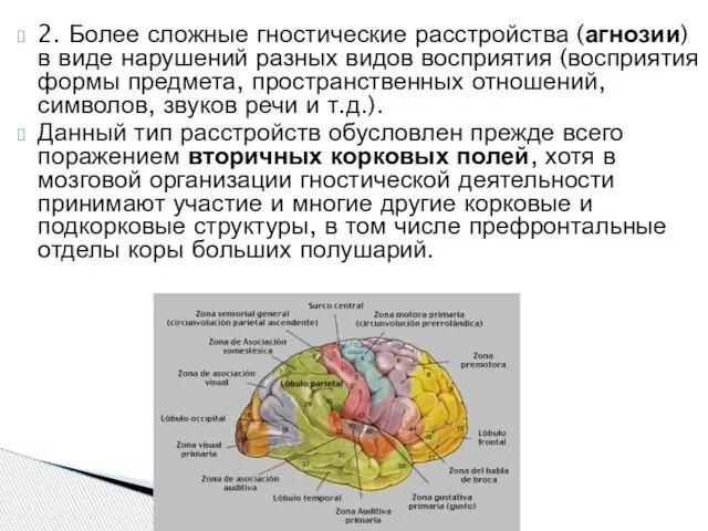 2. Более сложные гностические расстройства (агнозии) в виде нарушений разных видов