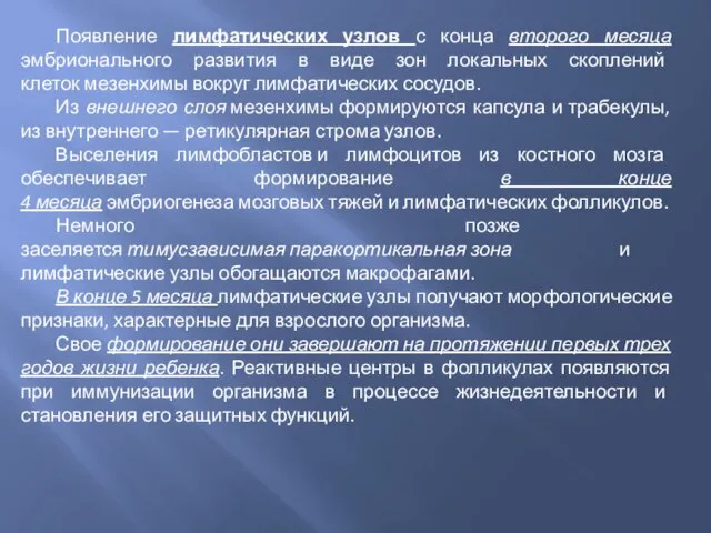 Появление лимфатических узлов с конца второго месяца эмбрионального развития в виде