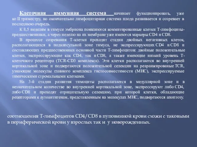 Клеточная иммунная система начинает функционировать, уже ко II триместру, но окончательно