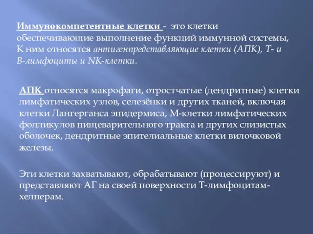 Иммунокомпетентные клетки - это клетки обеспечивающие выполнение функций иммунной системы, К