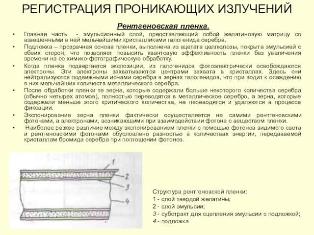 РЕГИСТРАЦИЯ ПРОНИКАЮЩИХ ИЗЛУЧЕНИЙ Рентгеновская пленка. Главная часть - эмульсионный слой, представляющий