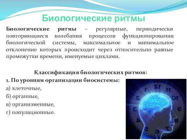 Биологические ритмы Биологические ритмы – регулярные, периодически повторяющиеся колебания процессов функционирования