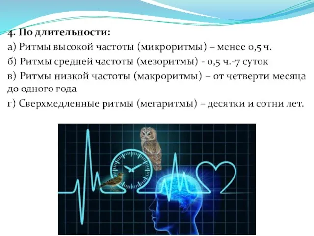 4. По длительности: а) Ритмы высокой частоты (микроритмы) – менее 0,5