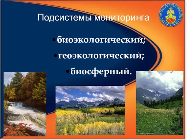 Подсистемы мониторинга биоэкологический; геоэкологический; биосферный. 27.4.10