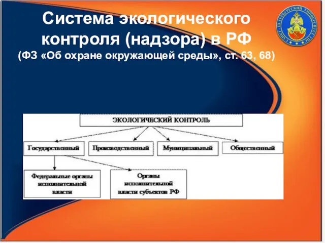 Система экологического контроля (надзора) в РФ (ФЗ «Об охране окружающей среды», ст. 63, 68)