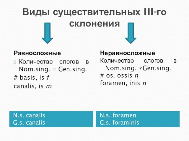 Виды существительных III-го склонения N.s. canalis G.s. canalis N.s. foramen G.s.