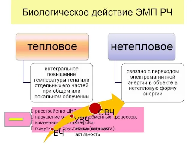 Биологическое действие ЭМП РЧ