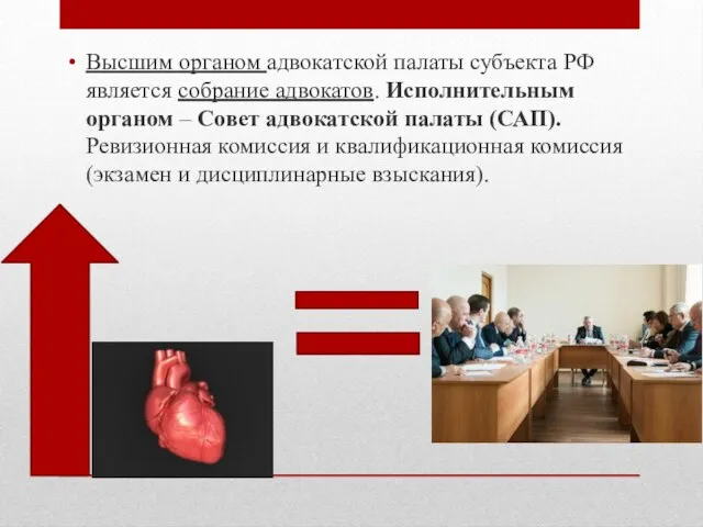 Высшим органом адвокатской палаты субъекта РФ является собрание адвокатов. Исполнительным органом