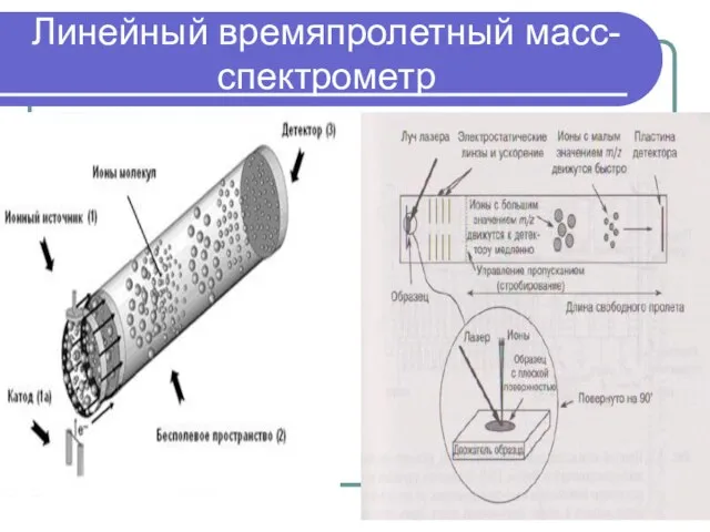 Линейный времяпролетный масс-спектрометр