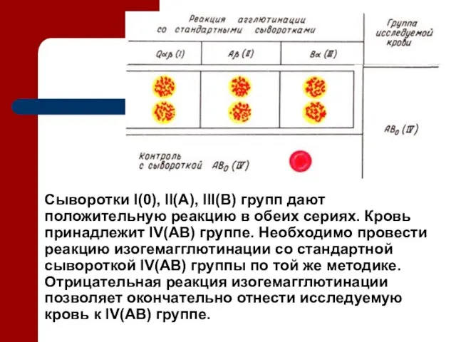 Сыворотки I(0), II(А), III(В) групп дают положительную реакцию в обеих сериях.