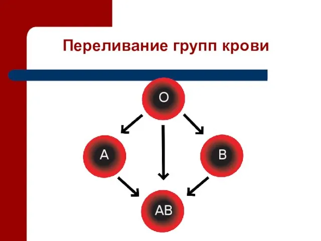 Переливание групп крови