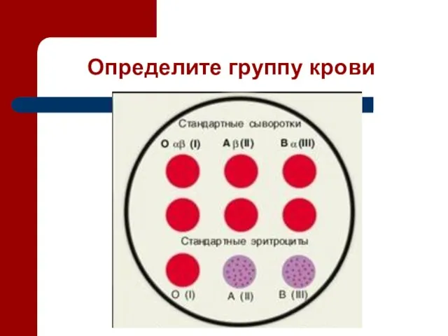 Определите группу крови