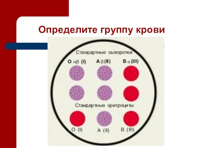 Определите группу крови