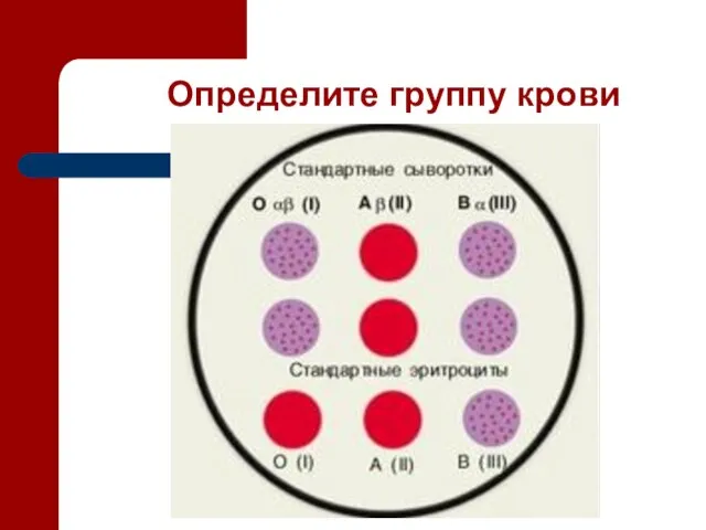 Определите группу крови