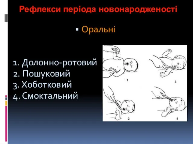 Рефлекси періода новонародженості Оральні 1. Долонно-ротовий 2. Пошуковий 3. Хоботковий 4. Смоктальний