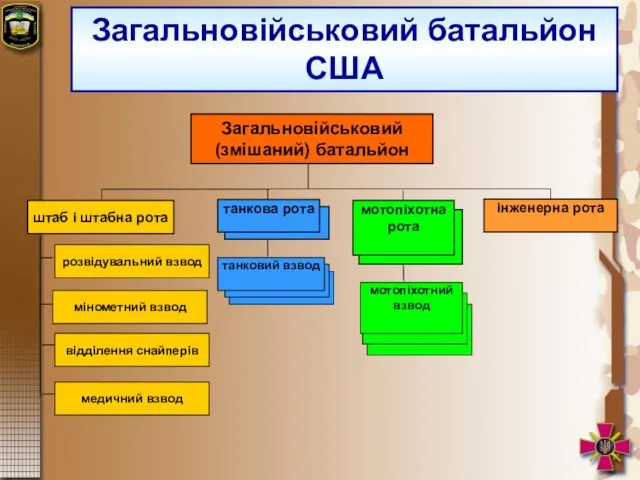 Загальновійськовий батальйон США