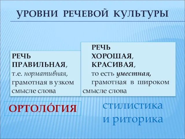 УРОВНИ РЕЧЕВОЙ КУЛЬТУРЫ РЕЧЬ ПРАВИЛЬНАЯ, т.е. нормативная, грамотная в узком смысле