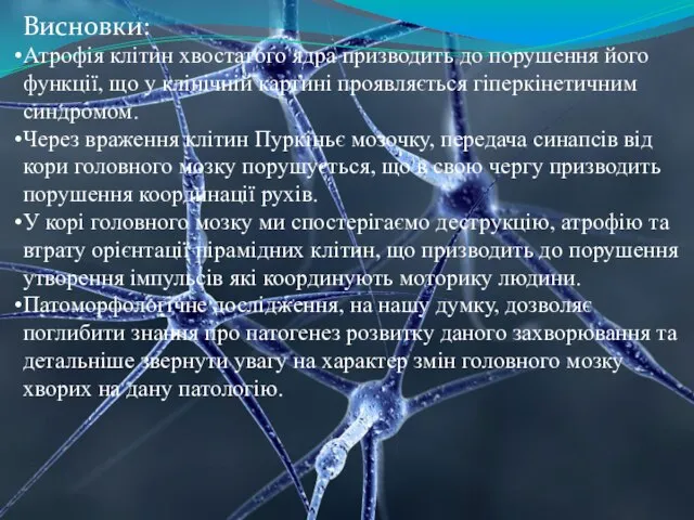 Висновки: Атрофія клітин хвостатого ядра призводить до порушення його функції, що