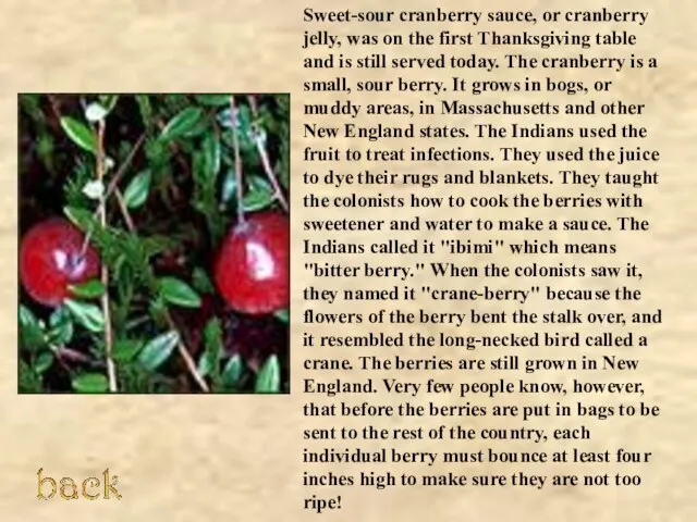 Sweet-sour cranberry sauce, or cranberry jelly, was on the first Thanksgiving